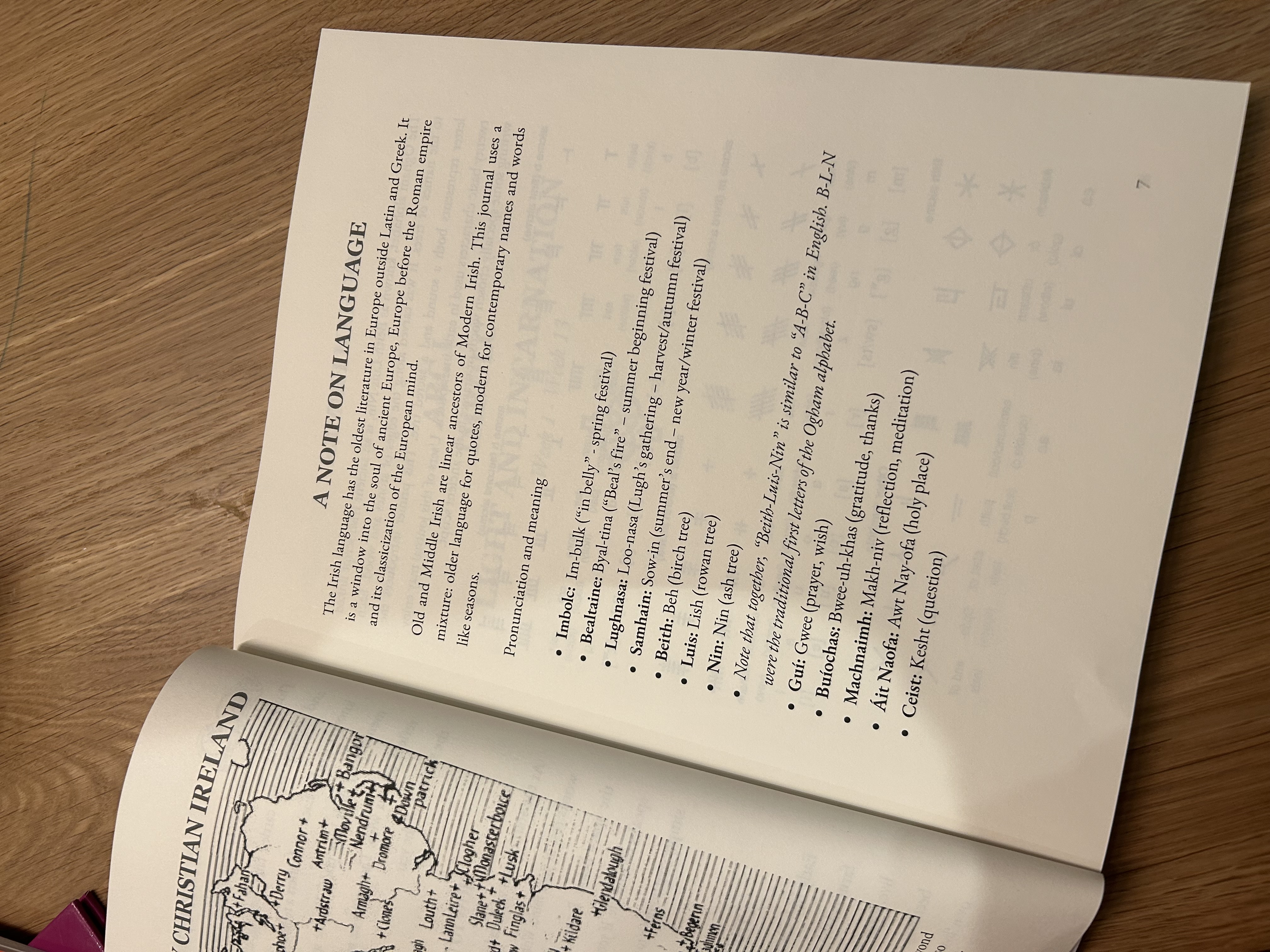 Irish Language Guide